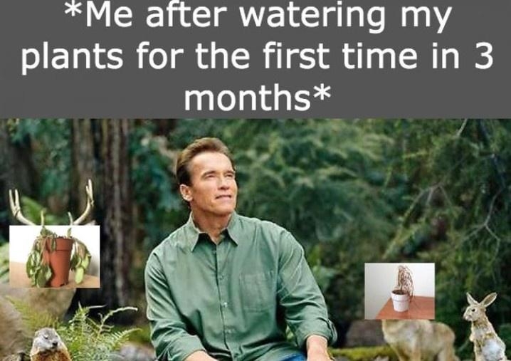 Botanical Memes - Nerd Ninja