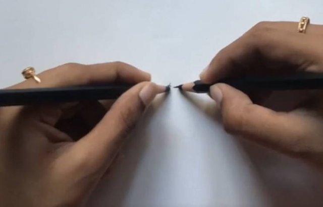 bodyfacts_013 bodyfacts_013