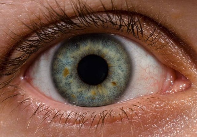 bodyfacts_032 bodyfacts_032