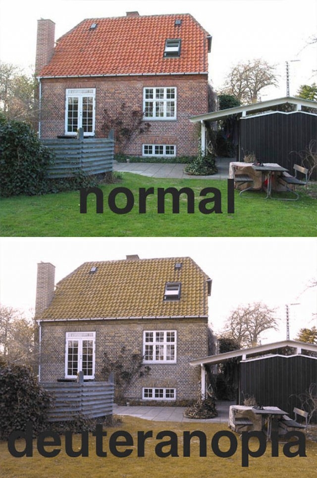 bodyfacts_036 bodyfacts_036