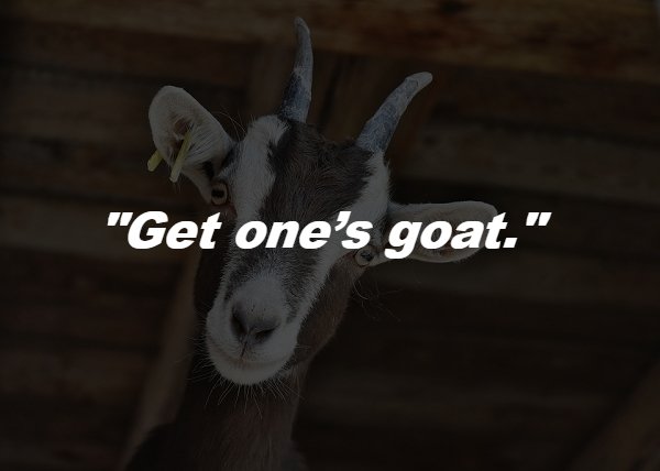 commonphraseorigins_007 commonphraseorigins_007