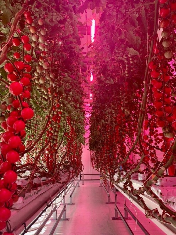 gardenmasters_004 gardenmasters_004