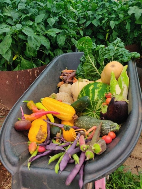 gardenmasters_005 gardenmasters_005