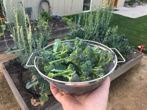 gardenmasters_007 gardenmasters_007