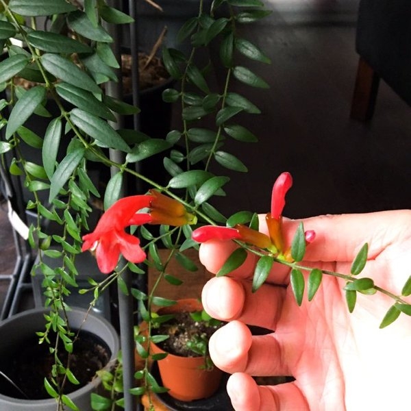 gardenmasters_008 gardenmasters_008