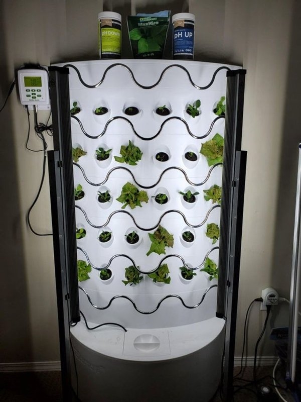 gardenmasters_010 gardenmasters_010