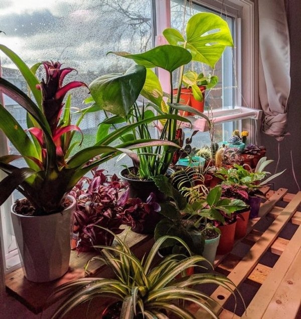 gardenmasters_014 gardenmasters_014