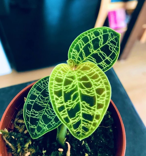 gardenmasters_016 gardenmasters_016