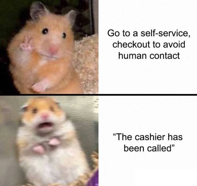 finland_014 finland_014