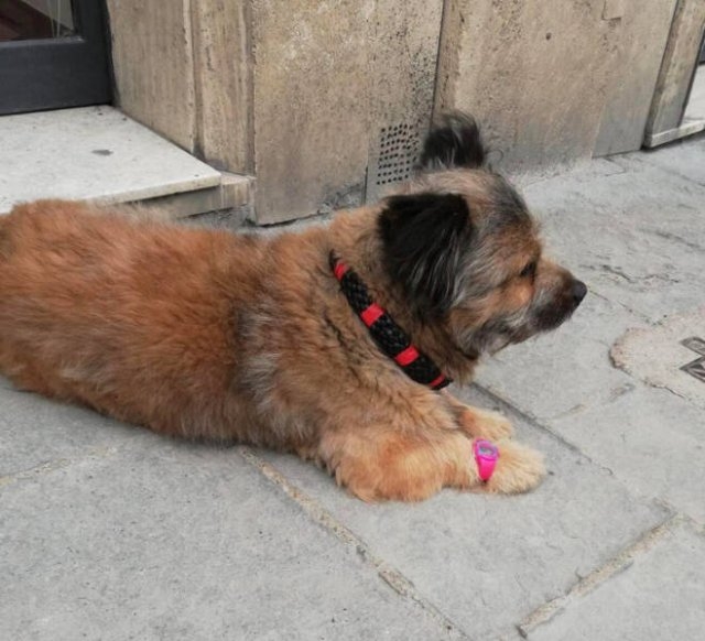 miniatureitaly3_005 miniatureitaly3_005