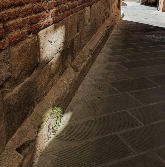 miniatureitaly3_017 miniatureitaly3_017