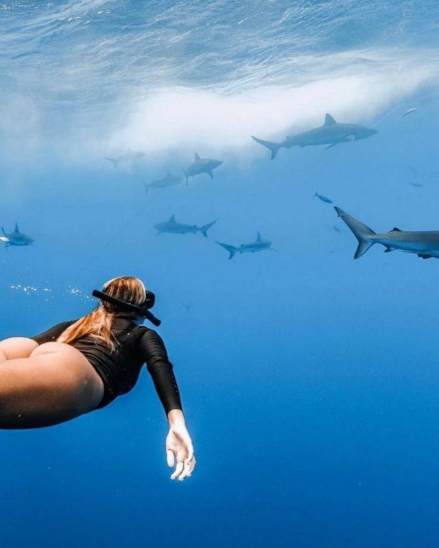 kaylasimmonsvolleyball_012 kaylasimmonsvolleyball_012