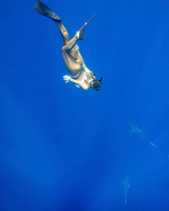 kaylasimmonsvolleyball_014 kaylasimmonsvolleyball_014