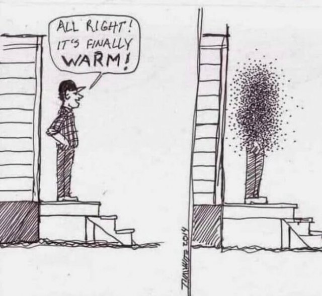 finland2_008 finland2_008