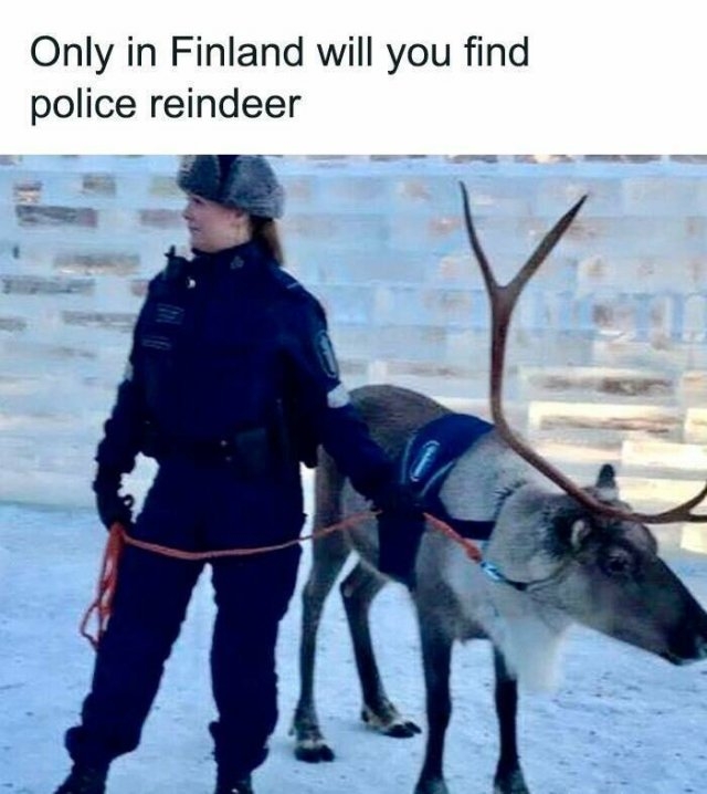 finland2_022 finland2_022