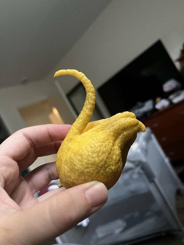 opticalillusions10_036