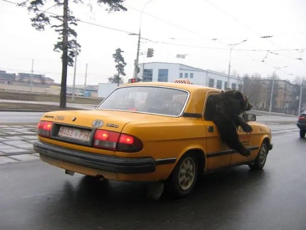 onlyinrussia24_023