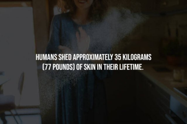 interestingfacts241_003