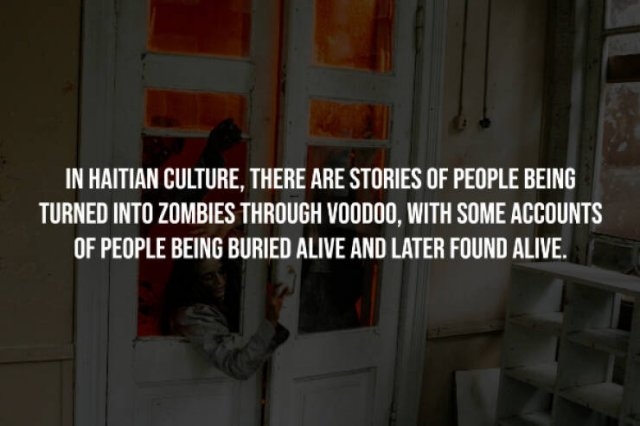 interestingfacts241_013