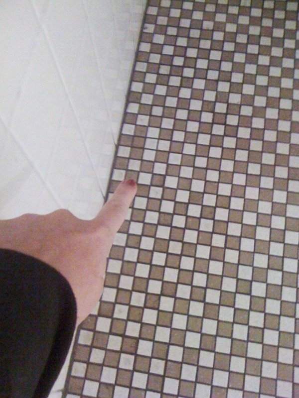 perfectphotos120_017