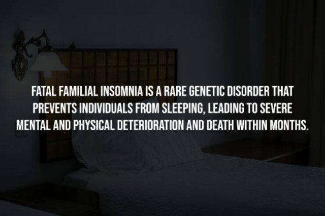 interestingfacts256_001