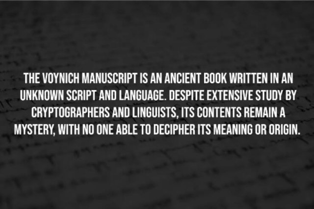 interestingfacts256_005