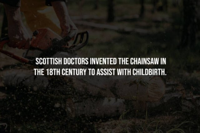 interestingfacts256_006