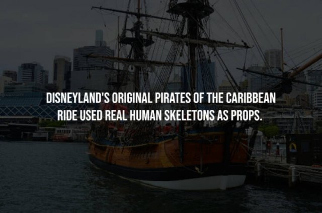 interestingfacts256_011