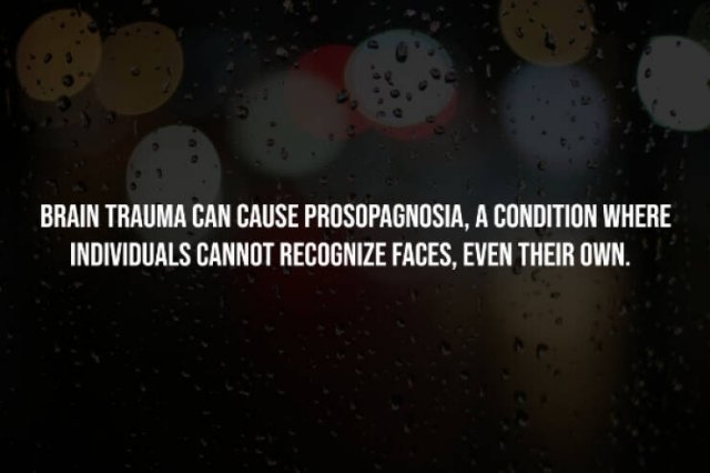 interestingfacts256_014