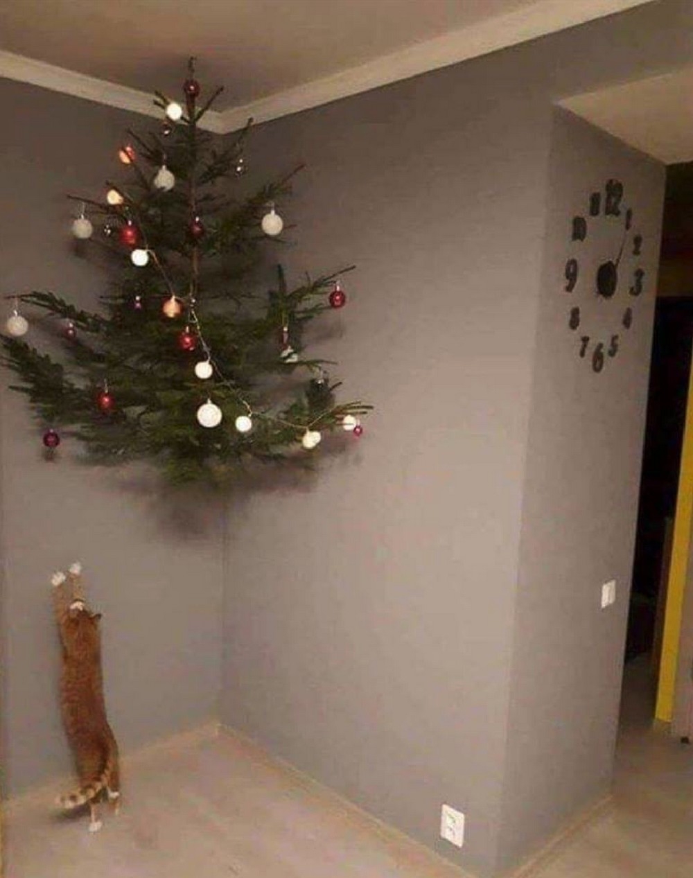 redneckengineering30_025