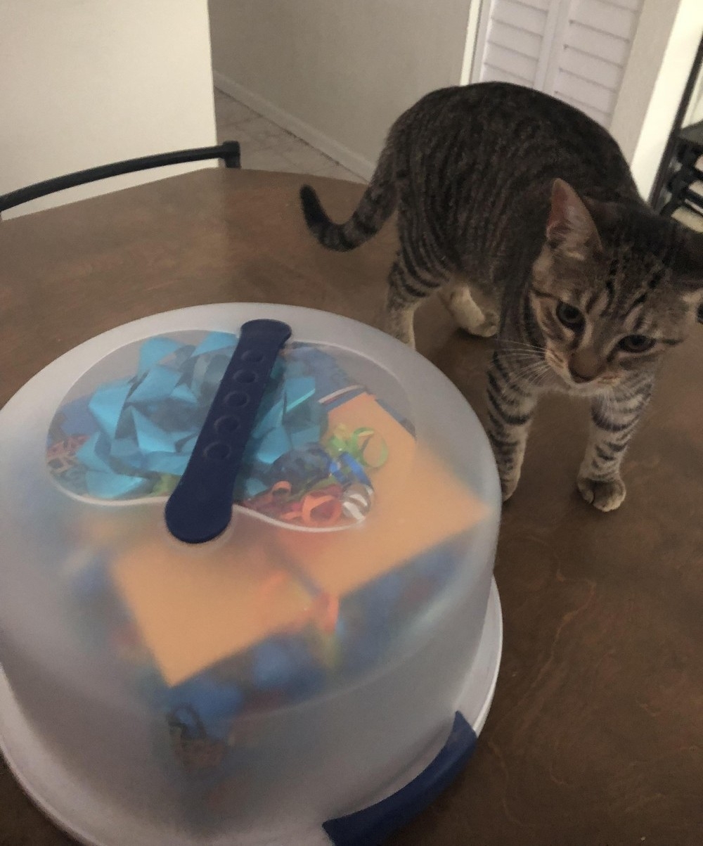 redneckengineering30_034