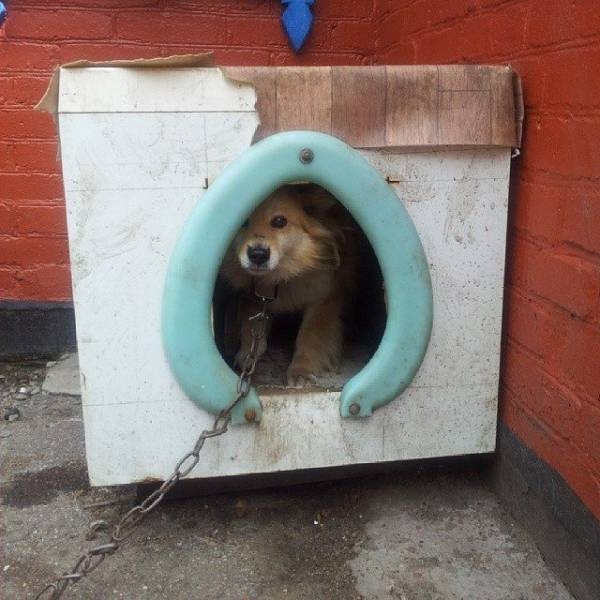 redneckengineering32_036