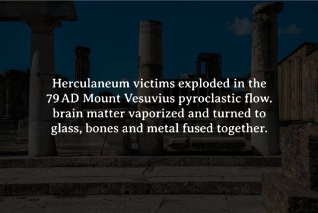 interestingfacts272_001