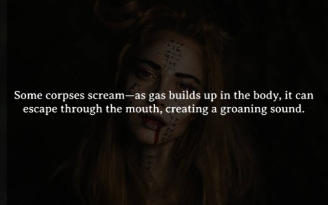 interestingfacts272_003