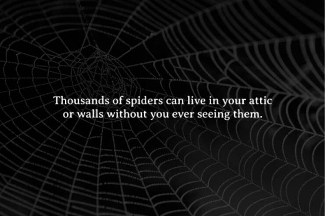 interestingfacts272_007