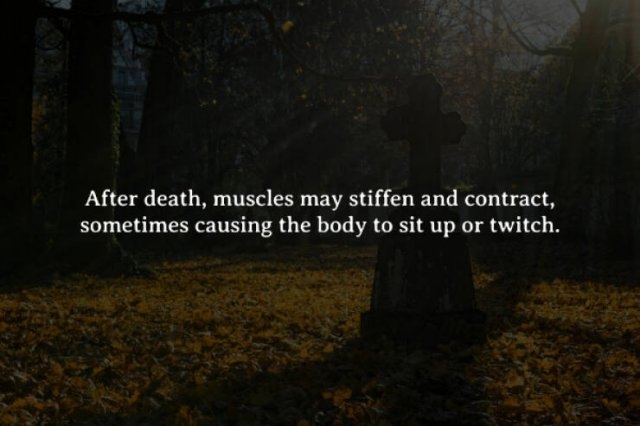 interestingfacts272_010