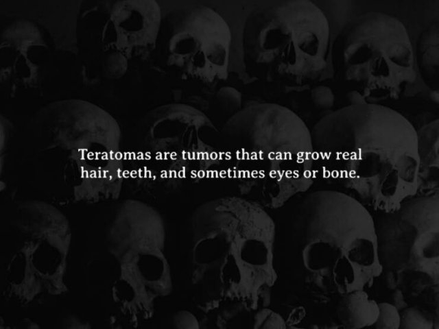 interestingfacts272_011