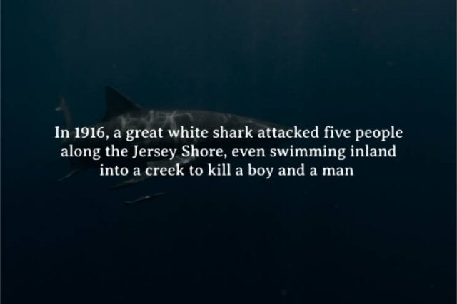 interestingfacts272_012