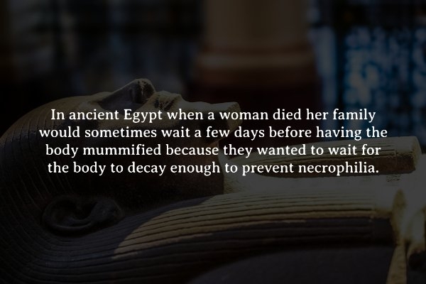 interestingfacts274_005