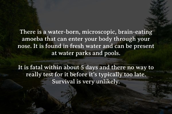 interestingfacts274_012