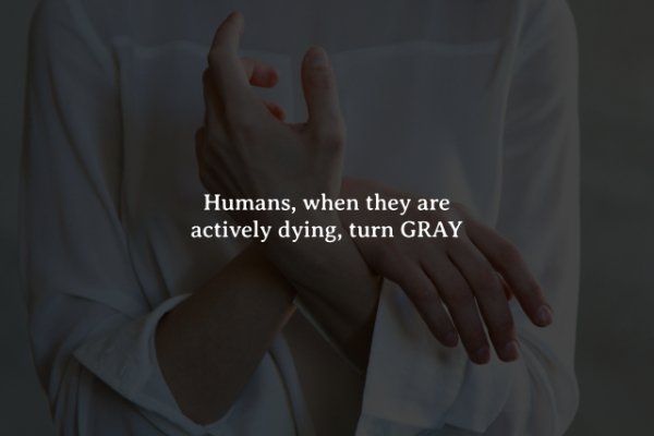 interestingfacts274_014