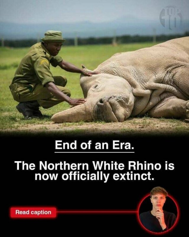 interestingfacts275_013