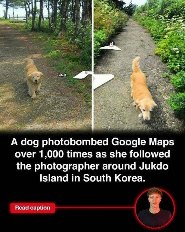 interestingfacts275_014