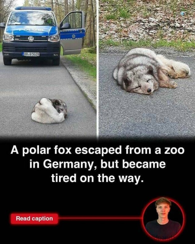 interestingfacts275_018