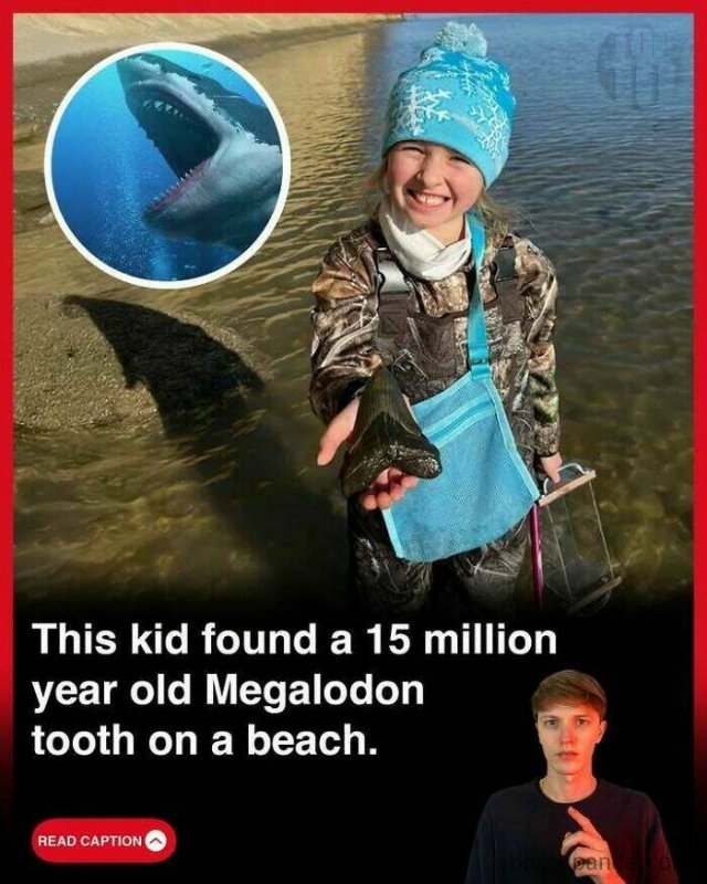 interestingfacts275_019