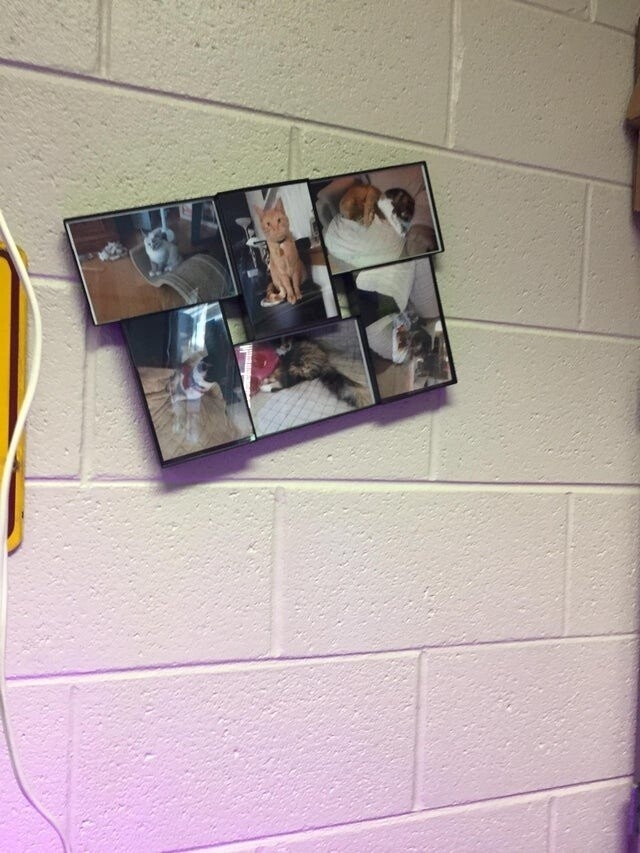 perfectphotos137_018