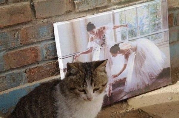 perfectphotos142_011