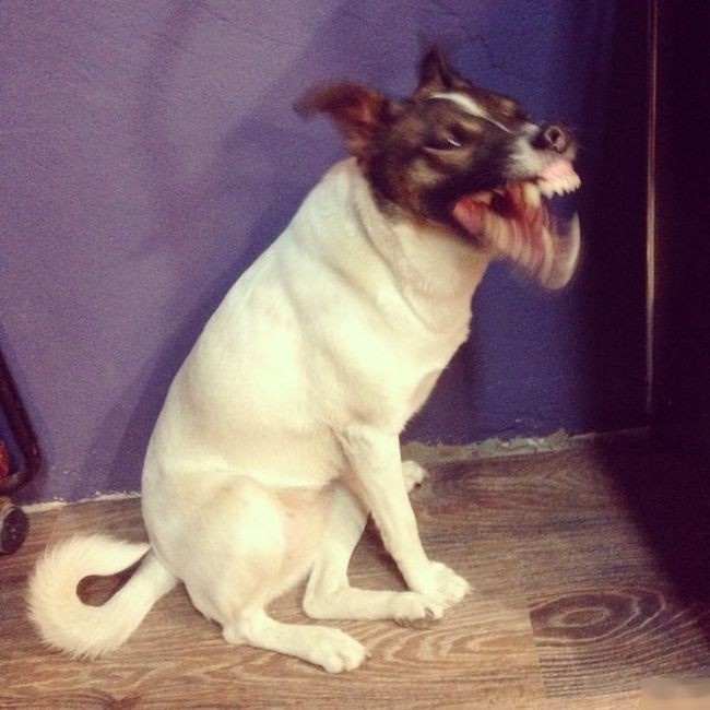 perfectphotos142_018