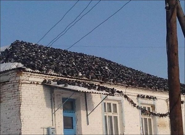 perfectphotos142_020