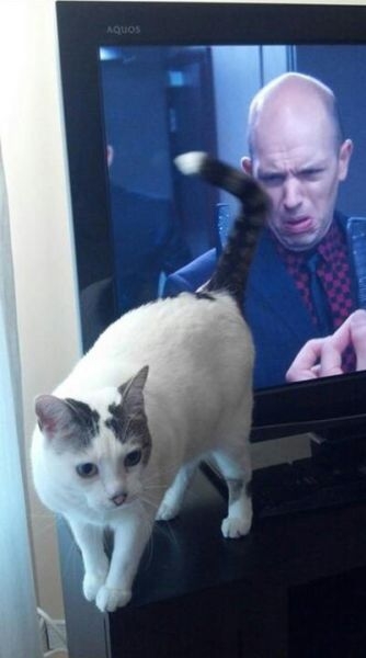 perfectphotos142_027